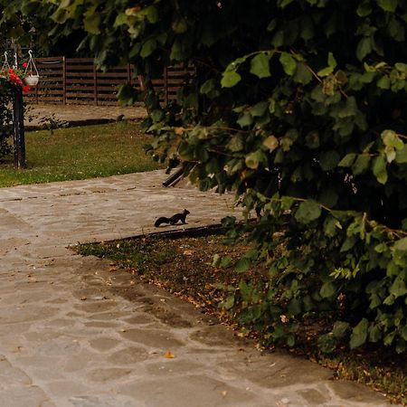 Cabana Paradisul Verde Neamt Târgu Neamț Buitenkant foto