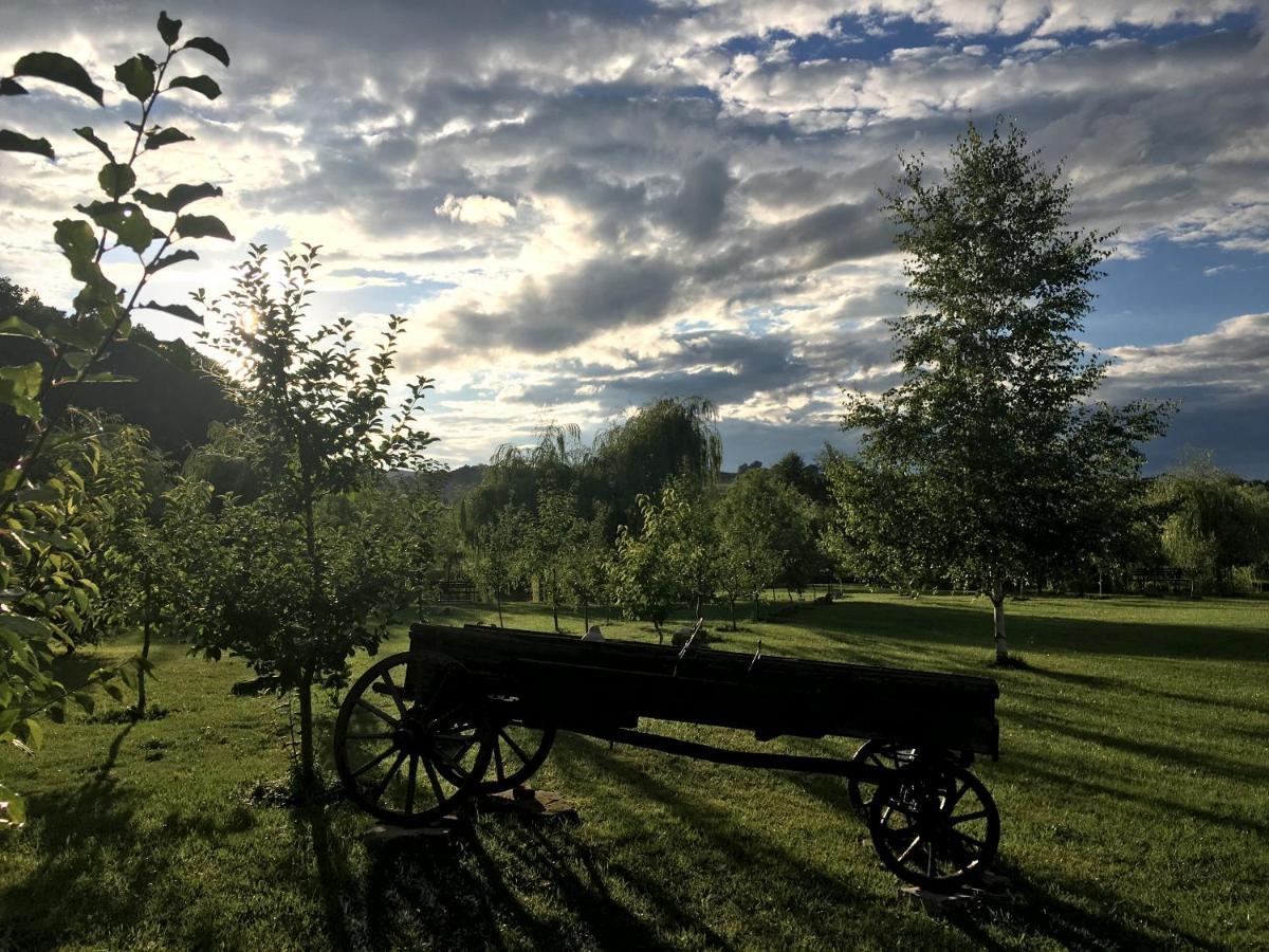 Cabana Paradisul Verde Neamt Târgu Neamț Buitenkant foto