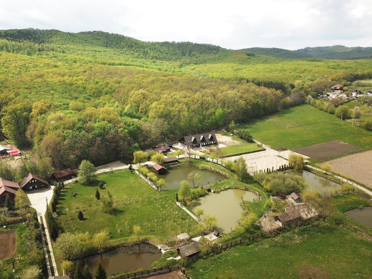 Cabana Paradisul Verde Neamt Târgu Neamț Buitenkant foto