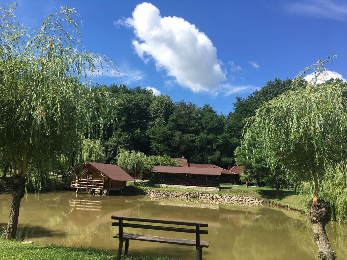 Cabana Paradisul Verde Neamt Târgu Neamț Buitenkant foto