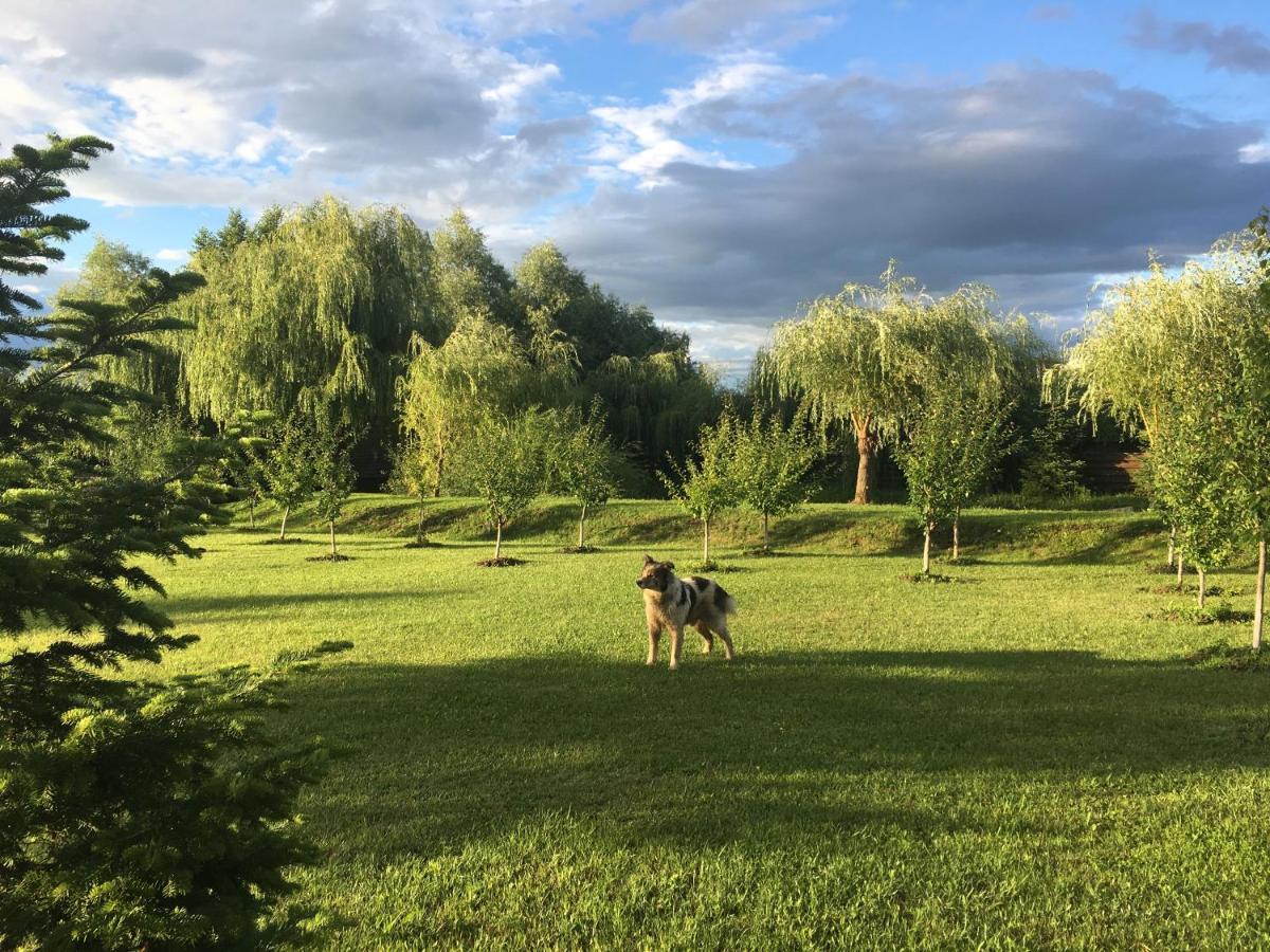 Cabana Paradisul Verde Neamt Târgu Neamț Buitenkant foto
