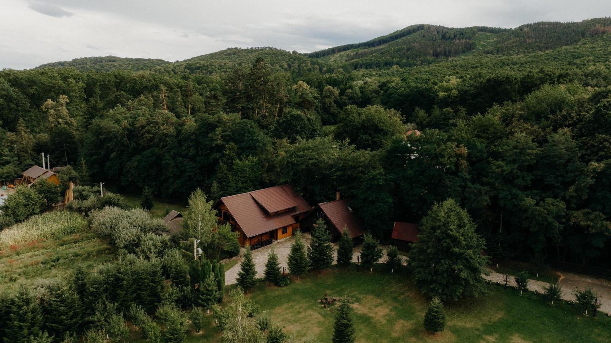 Cabana Paradisul Verde Neamt Târgu Neamț Buitenkant foto