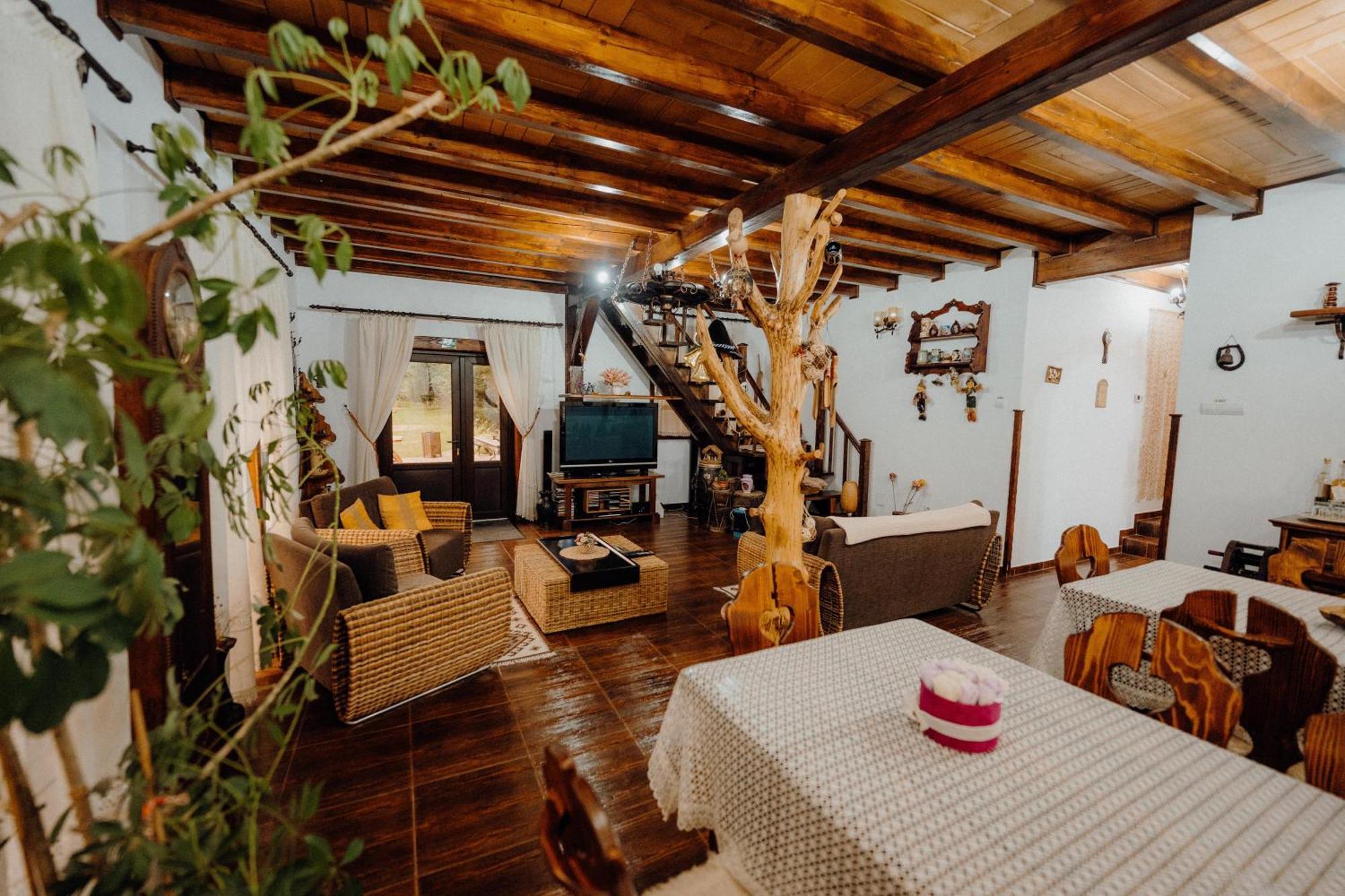 Cabana Paradisul Verde Neamt Târgu Neamț Buitenkant foto
