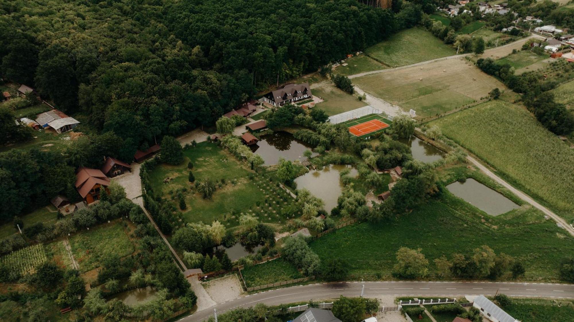 Cabana Paradisul Verde Neamt Târgu Neamț Buitenkant foto